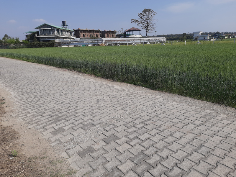 Additional image 2 of Chharba, Dehradun