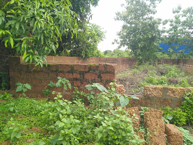 Additional image 2 of Pahala, Bhubaneswar
