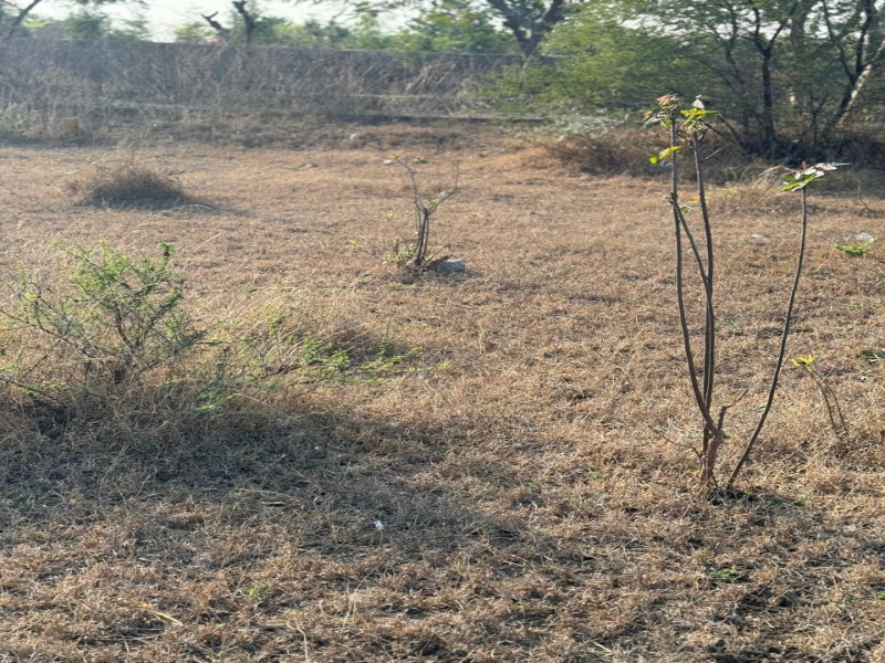 Additional image 2 of Shadnagar, Hyderabad