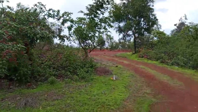 Additional image 2 of Tivim, North Goa, Goa