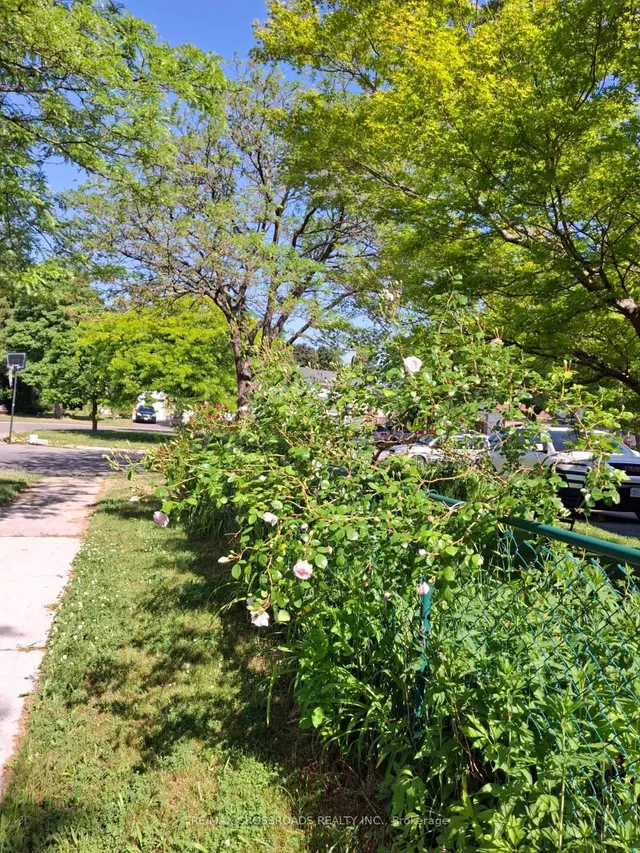 Additional image 28 of 66 Bushwood Crt