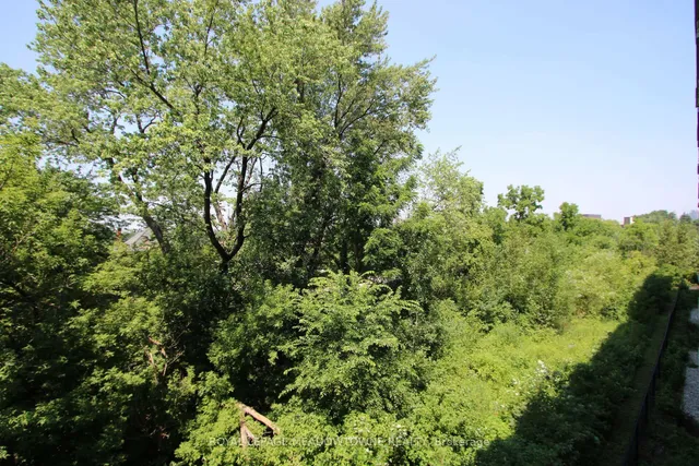 Additional image 24 of 33 Whitmer St Unit 318