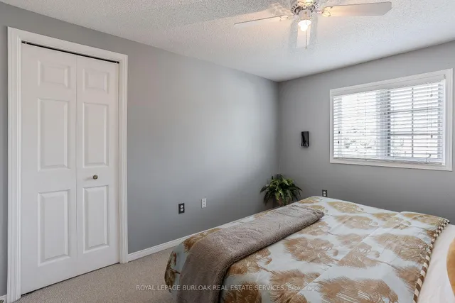 Additional image 21 of 1386 Treeland St