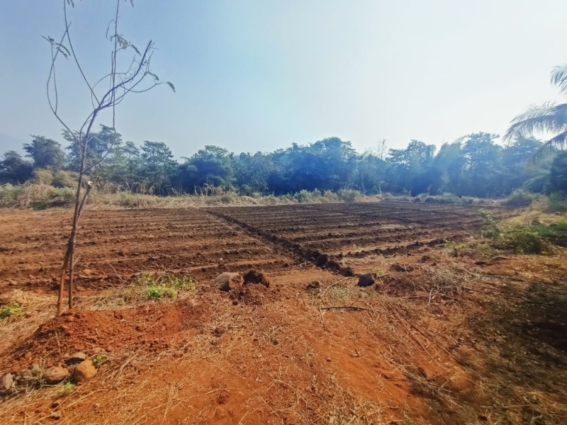 Additional image 3 of Murbad, Thane