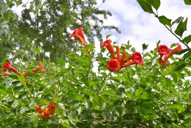 Additional image 33 of 1034 Cedar Ave