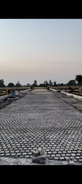 Additional image 3 of Limbodi, Indore