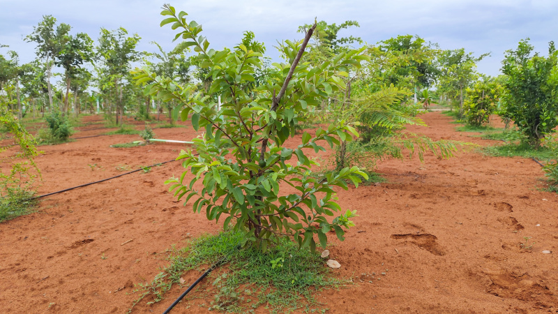Additional image 3 of East Coast Road, Chennai