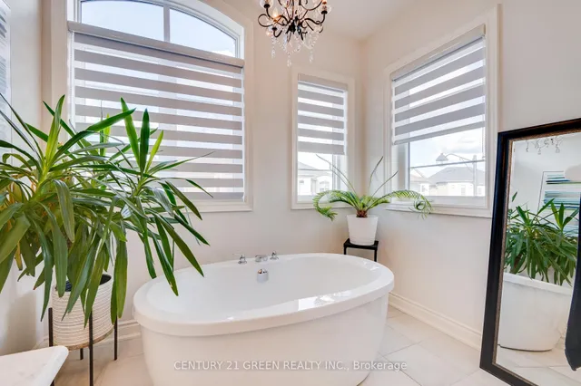 Additional image 23 of 1478 Day Terr