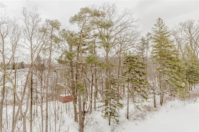 Additional image 46 of 3 Folcroft Street St