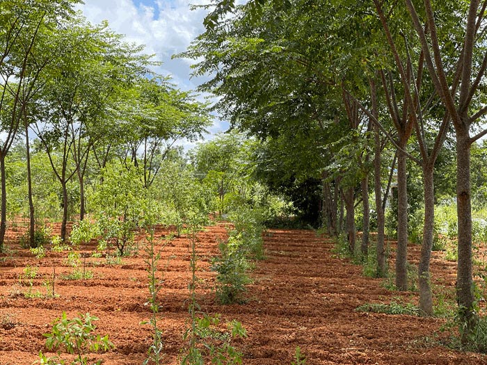 Anekal, Bangalore