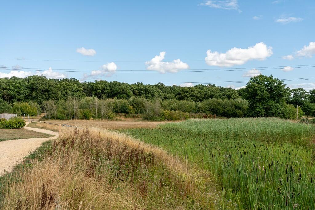 Additional image 23 of Castle Hedingham, Castle Mead