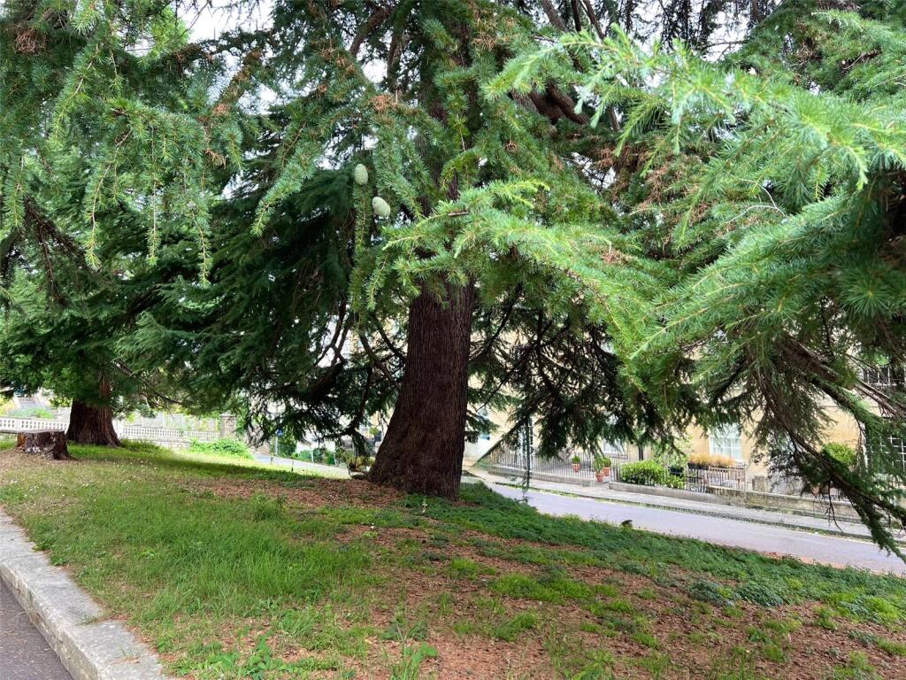 Additional image 22 of Southcot Place, Bath, BA2