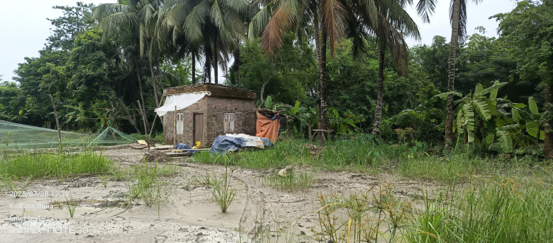 Boral Main Road, Kolkata