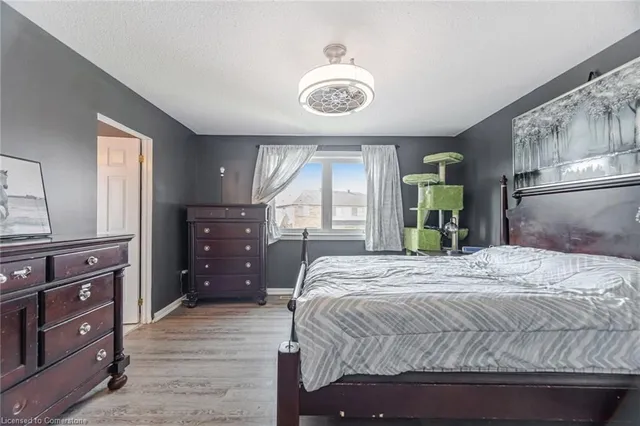 Additional image 30 of 1297 Clark Blvd