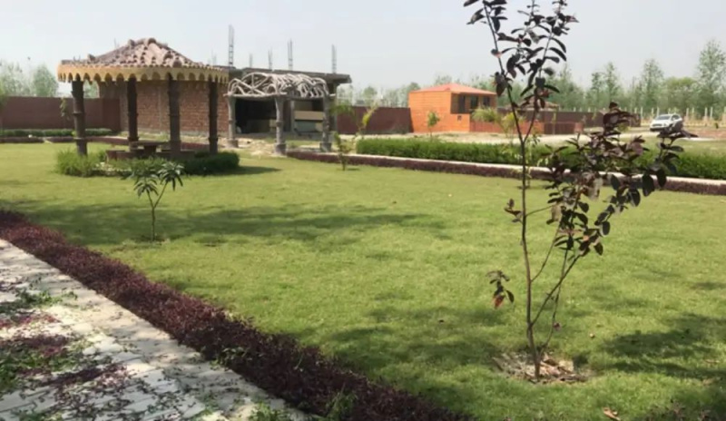 Additional image 2 of Patanjali Yogpeeth, Haridwar