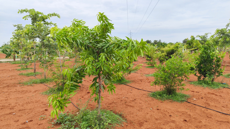 Additional image 2 of East Coast Road, Chennai