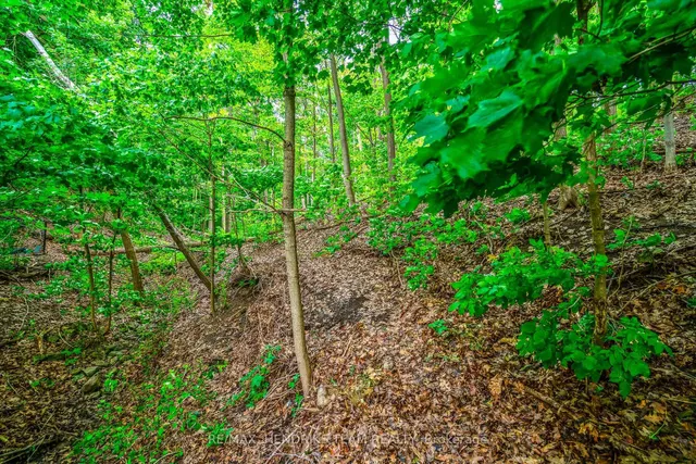 Additional image 11 of 8 Sunhaven Crt