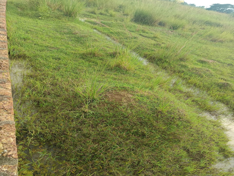 Additional image 3 of Rasulgarh, Bhubaneswar