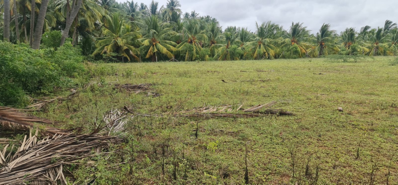 Additional image 2 of Gopalapuram, Chennai