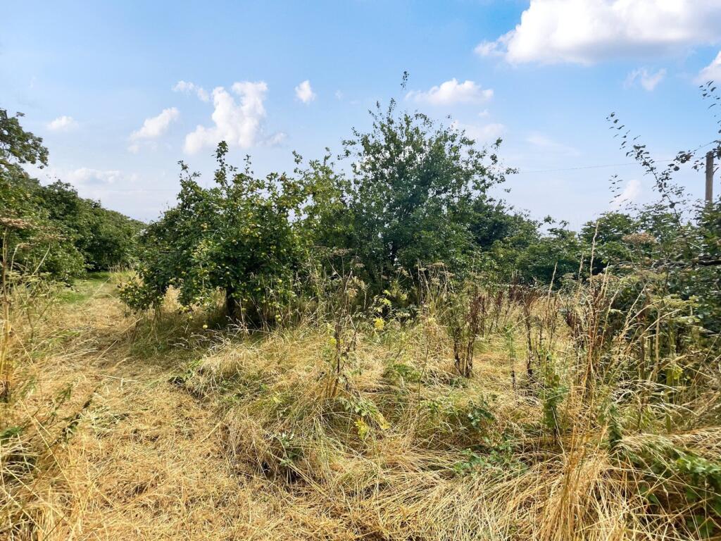 Additional image 4 of Small Way Lane, Galhampton, Castle Cary, BA22