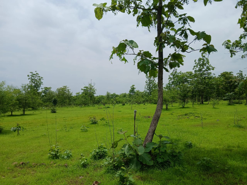 Additional image 3 of Mumbai Beyond Thane, Mumbai