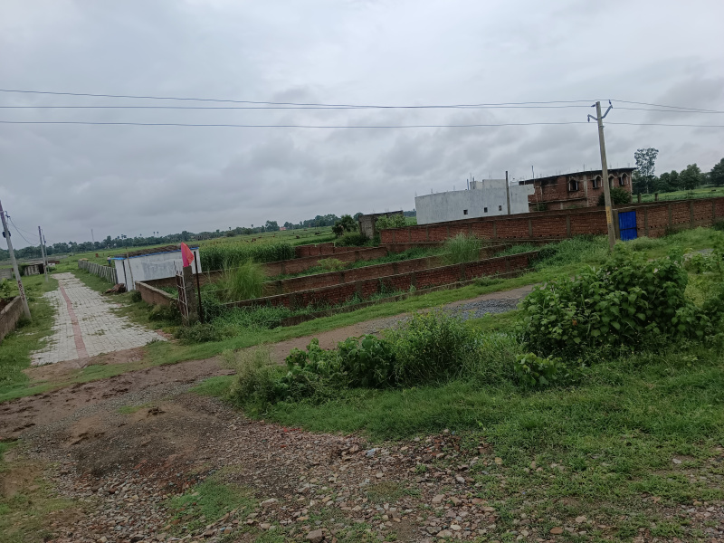 Additional image 2 of Kanhauli, Bihta, Patna