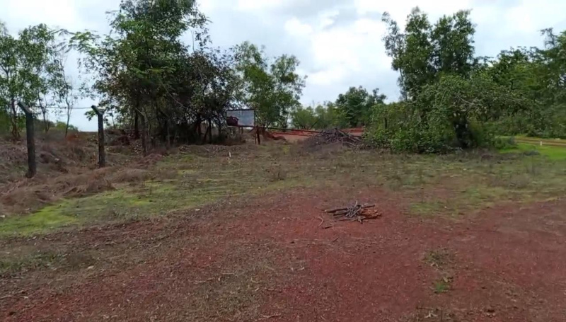 Tivim, North Goa, Goa