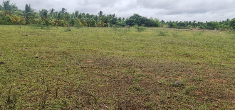 Additional image 3 of Gopalapuram, Chennai