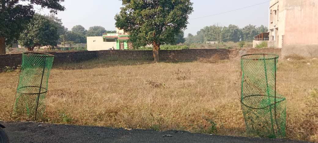 Additional image 3 of Daladili, Ranchi