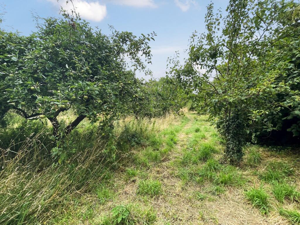 Property image for Small Way Lane, Galhampton, Castle Cary, BA22