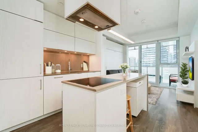 15 Lower Jarvis St Unit 1509