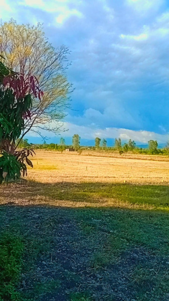 Additional image 2 of Selakui, Dehradun