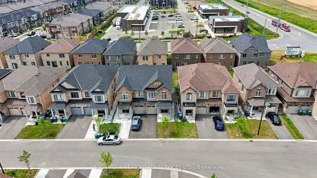 Additional image 5 of 36 Truffle Crt