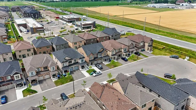 Additional image 6 of 36 Truffle Crt