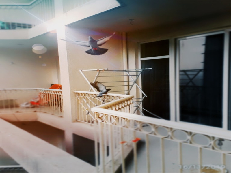 Additional image 2 of Alwar Bypass Road, Bhiwadi