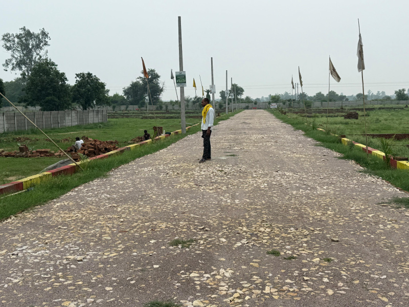 Primary image of Sultanpur Road, Lucknow