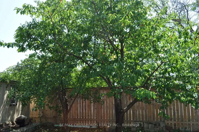 Additional image 35 of 66 Bushwood Crt
