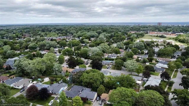 Additional image 13 of 635 Bridle WOOD