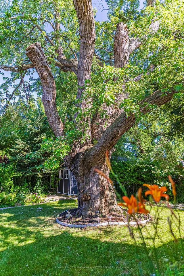 Additional image 33 of 116 1st St