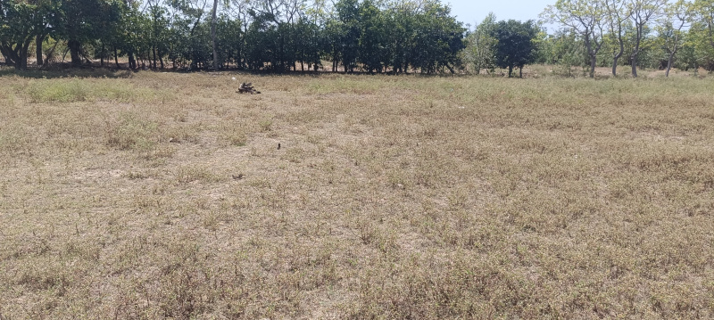 Additional image 2 of Thalatheru, Karaikal, Pondicherry