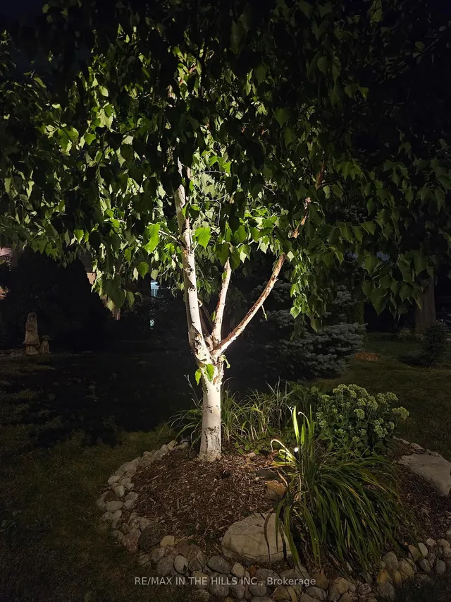 Additional image 34 of 32 Belfountain Crt