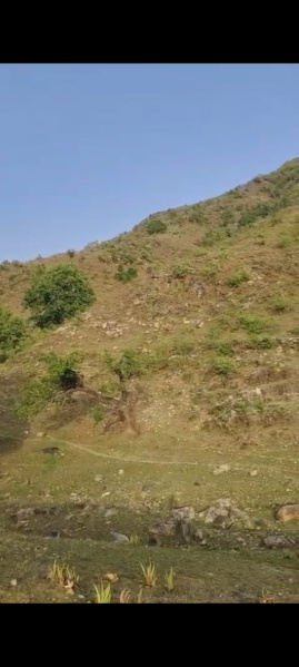 Additional image 3 of Iswal, Udaipur