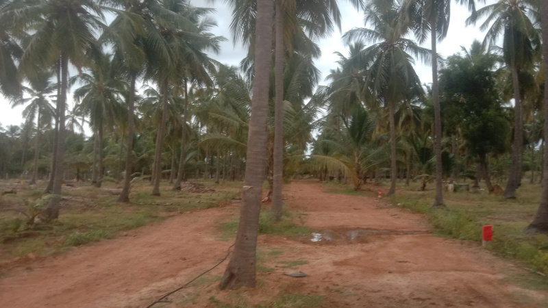 Additional image 2 of Kalavasal, Madurai