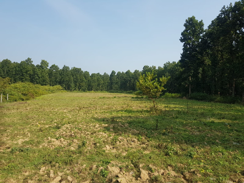 Additional image 2 of Sahaspur, Dehradun