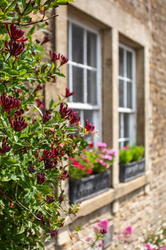 Additional image 19 of Philpotts Cottage, North Street, Bath, BA2