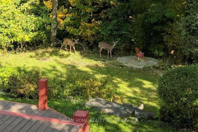 Additional image 34 of 37 Cliffside Dr