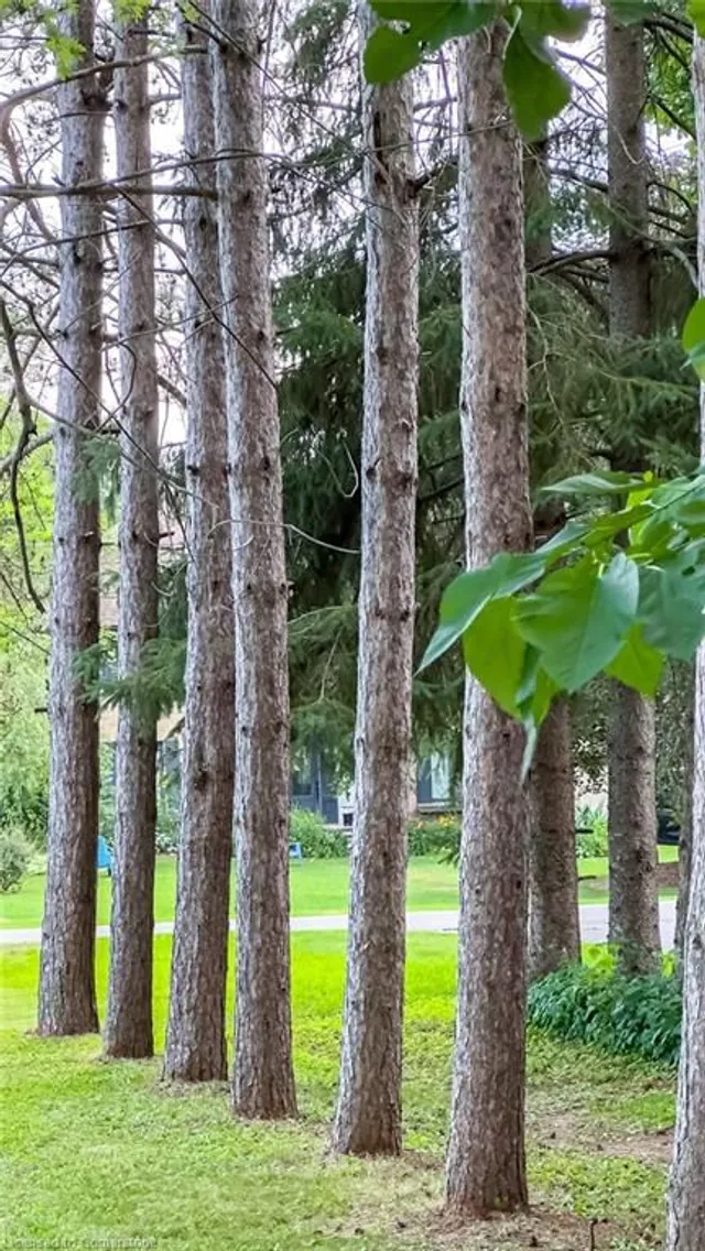 Additional image 43 of 1442 Alderson Rd