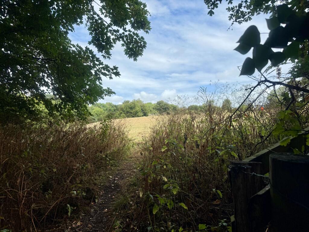 Additional image 28 of Tor Court, Coursing Batch, Glastonbury