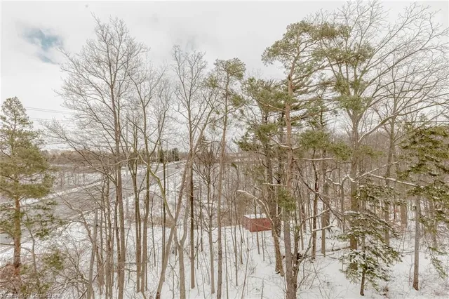 Additional image 45 of 3 Folcroft Street St