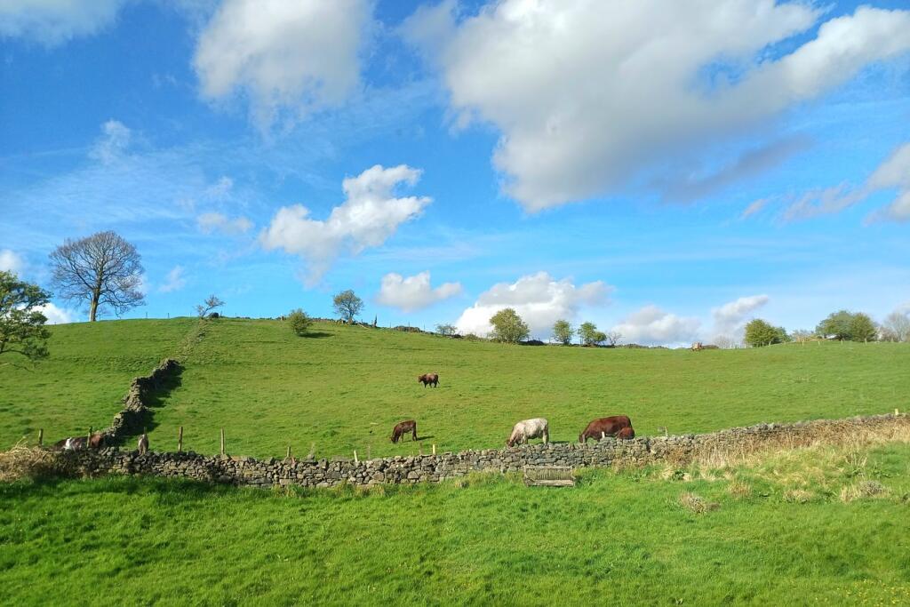 Additional image 21 of Burnley Road, Cliviger, Burnley, BB10
